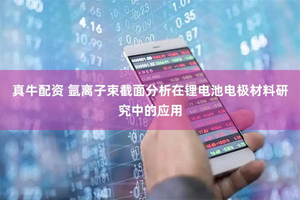 真牛配资 氩离子束截面分析在锂电池电极材料研究中的应用